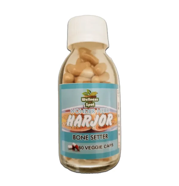 Harjor (Bone Setter)