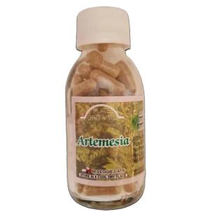 Artemesia