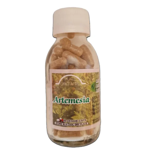 Artemesia